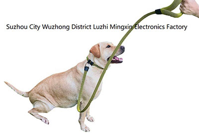 페이지 대자:강아지 목줄과 도그 칼라(중국, EU에서 구매)